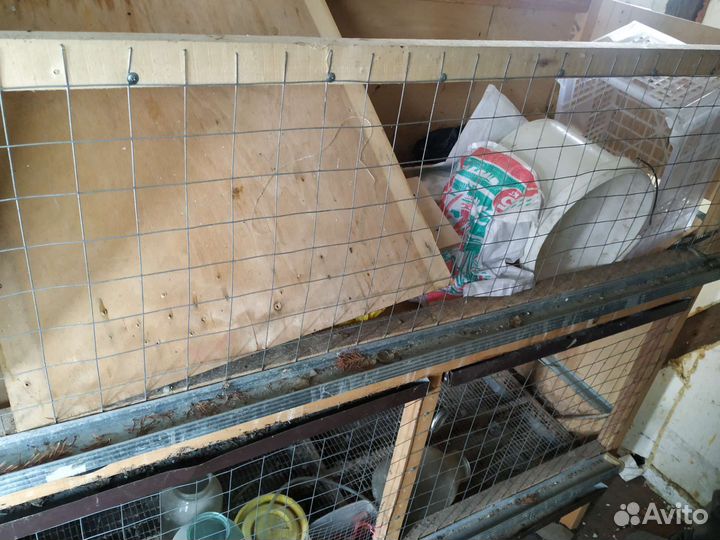 Клетка для куриц