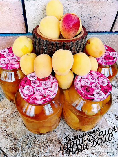 Домашний компот из отборных сладких абрикосов