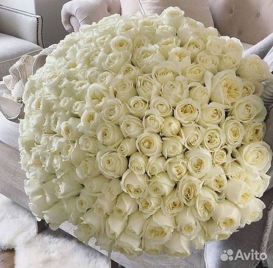 Высокие розы Гигантские розы Доставка цветов