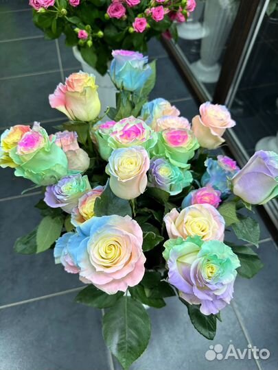Цветные розы