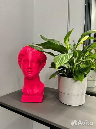 Венера кашпо ваза голова декор