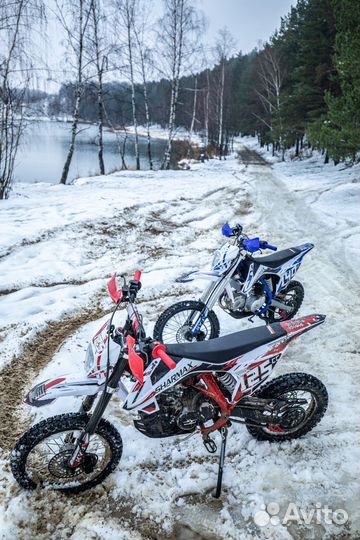 Мотоцикл питбайк Sharmax PowerMax 125 (2022) (P)