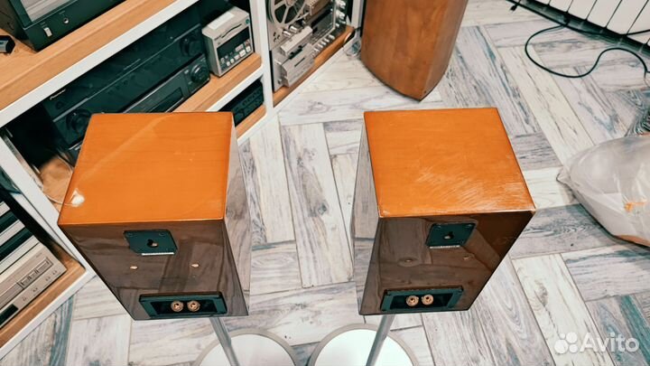 Акустика Denon SC A33XG