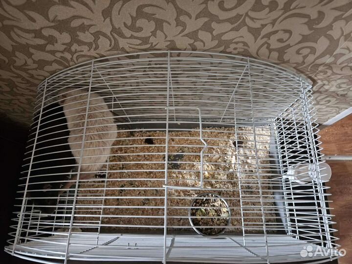 Клетка для грызунов