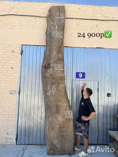 Слэбы Карагача / Слэб сухой / Гигант