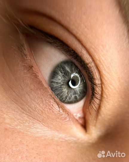 Модель на перманент межреснички