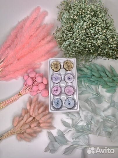 Стабилизированные цветы и сухоцветы