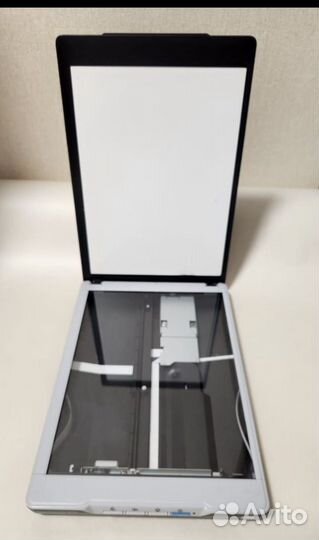 Сканер Epson v19