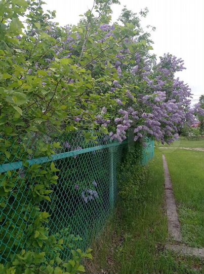 Дом 60 м² на участке 10 сот.