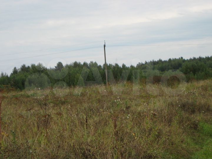 Участок 40 га (СНТ, ДНП)