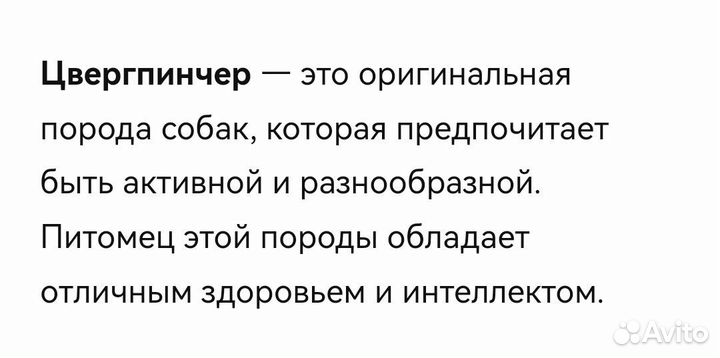 Собаки щенки цвергпинчера
