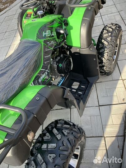 Grizzly 200