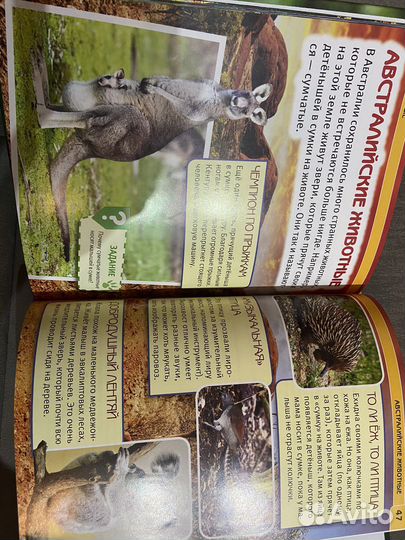 Энциклопедия животные с развивающими заданиями