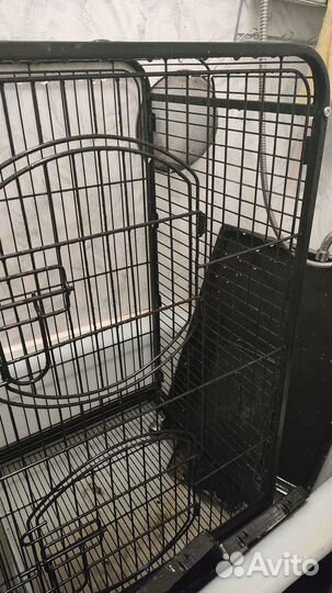 Клетка для грызунов или крупных птиц