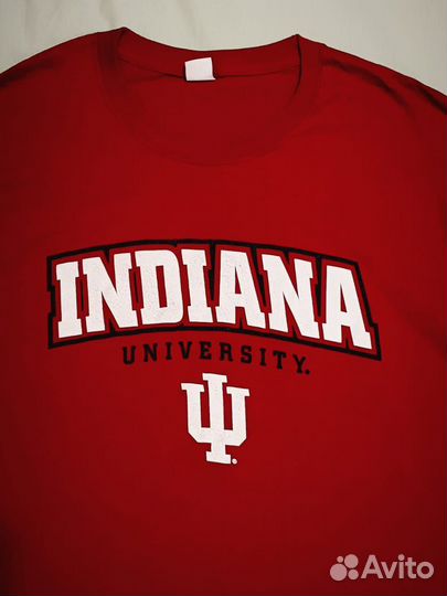 Футболка мужская новая L Hanes оригинал