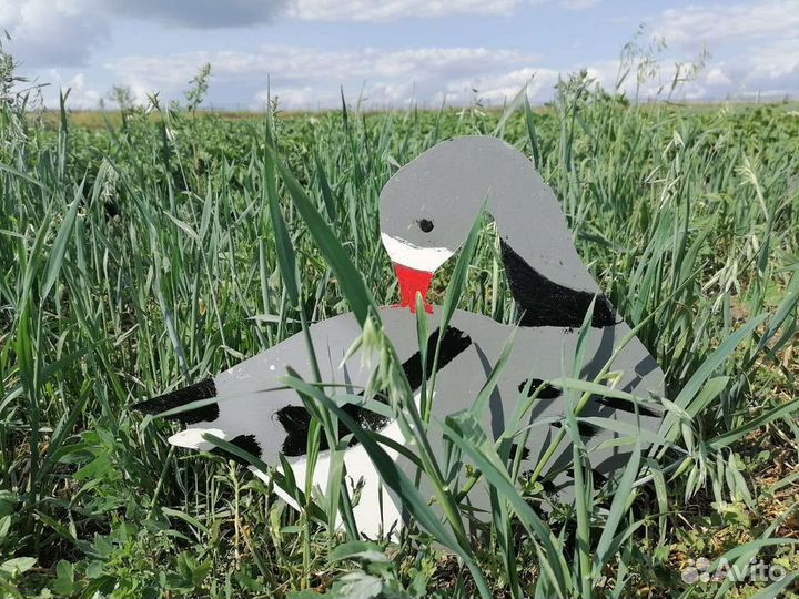 Профиля гусей