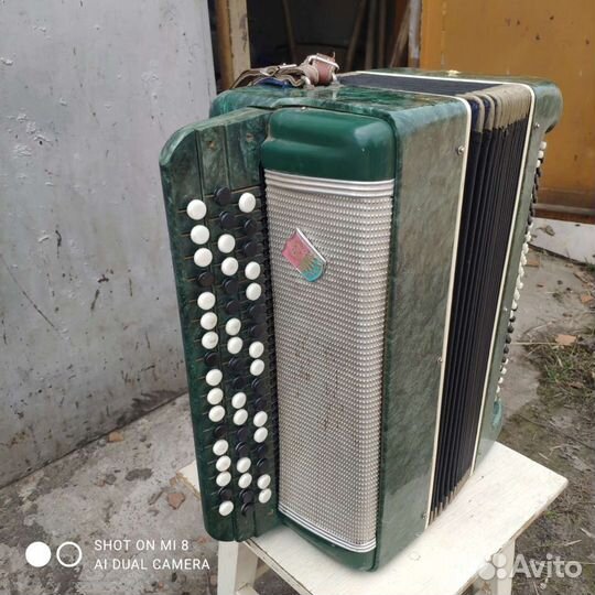 Баян россия