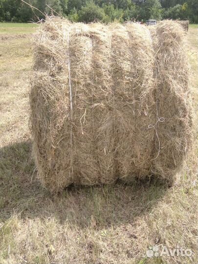 Луговое сено