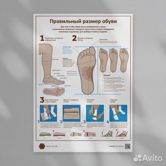 Плакат Размер обуви А1