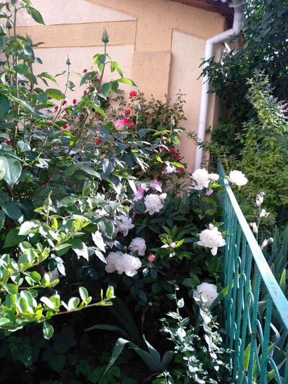 Дом 164 м² на участке 6 сот.