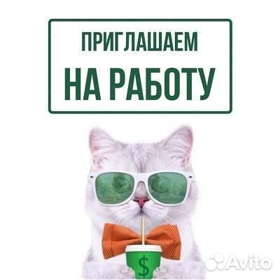 Продавец-кассир Зоомагазин