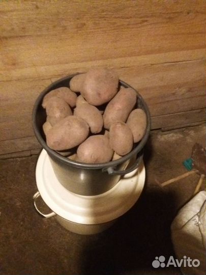 Продам картофель