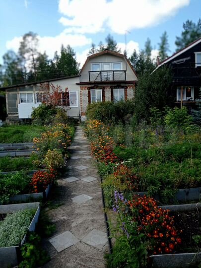 Дача 49,1 м² на участке 6,6 сот.