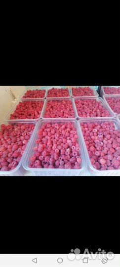 Лесная малина замороженая