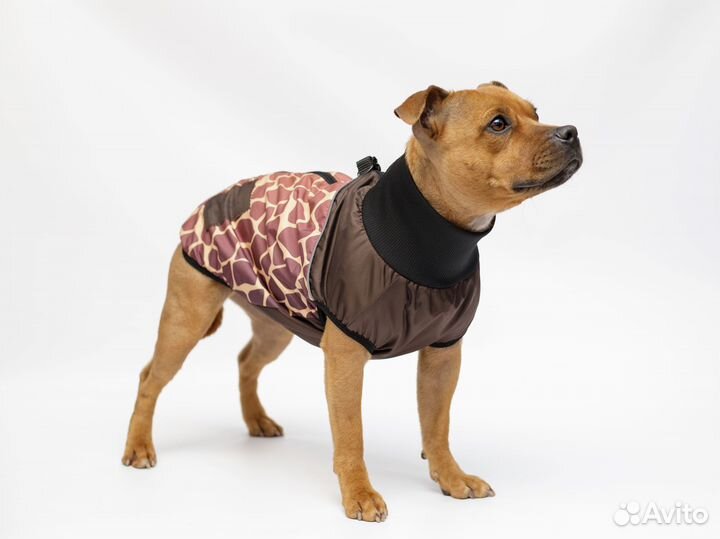 Жилет для собак