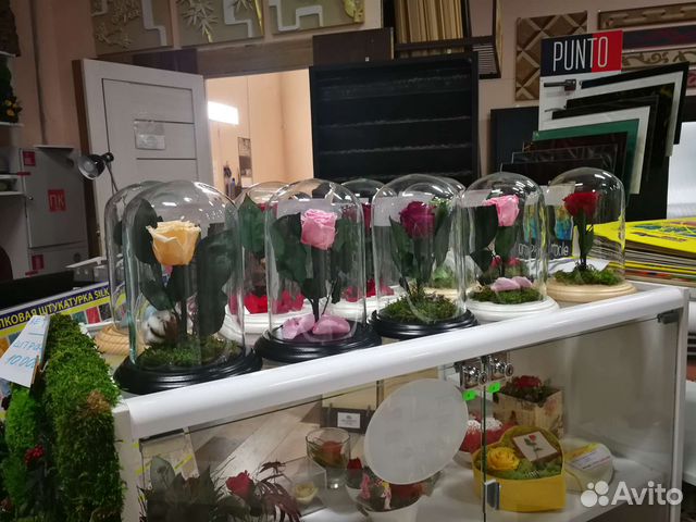 Живая Роза в колбе классик 22 см, бутон 5-6 см