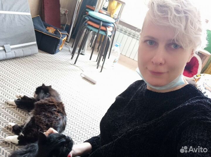 Зоопсихолог