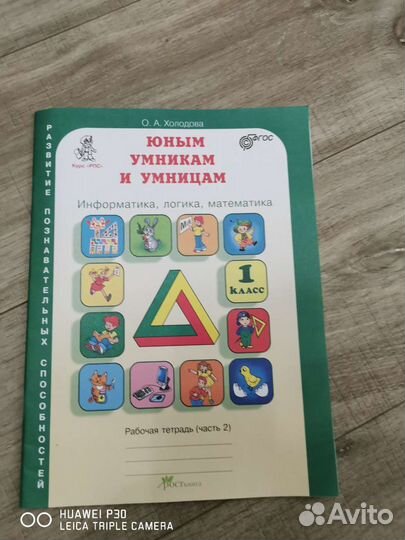 Рабочая тетрадь умникам и умница Холодова
