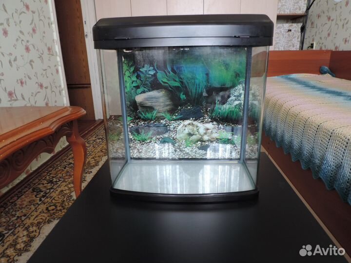 Аквариум