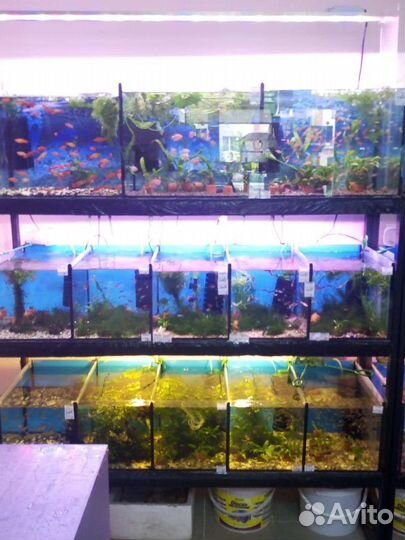 Стойка под аквариум, светильники светодиодные