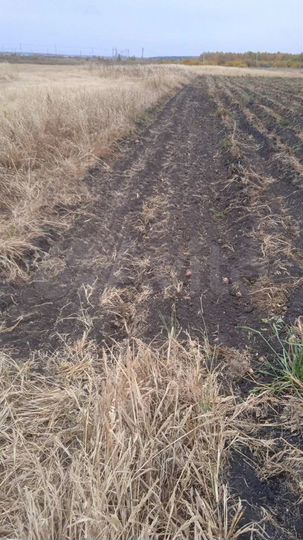 Участок 71 сот. (СНТ, ДНП)