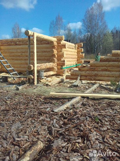 Срубы бань и домов