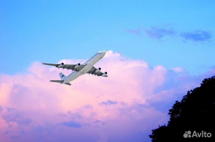 Уборщик самолётов аэропорт Шереметьево