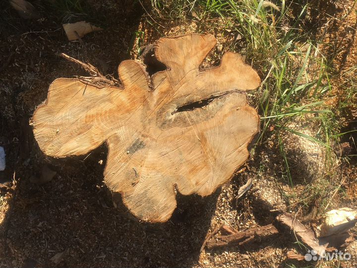 Спилы слебы