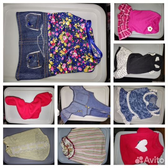 Одежда для собак мелких пород