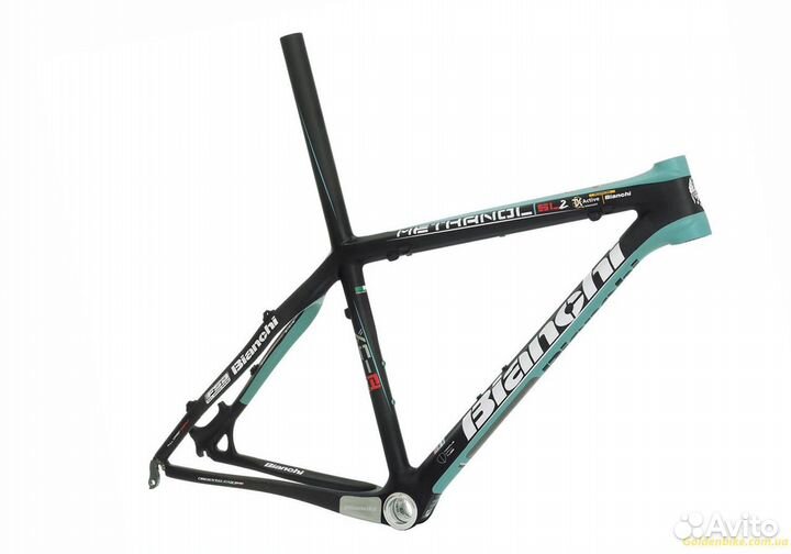 Bianchi store methanol sl2