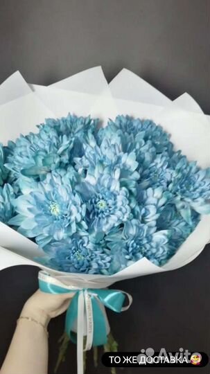 Хризантема кустовая букеты