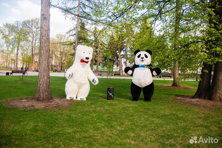 Белый Мишка и Панда. Поздравления