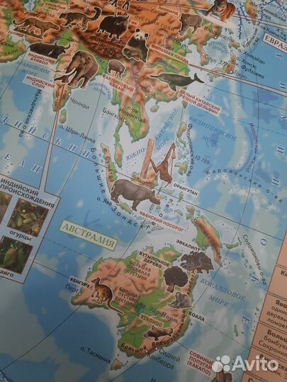 Карта мира огромная новая