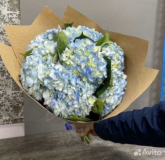 Букеты из гортензий Цветы Розы Пионы Гипсофила