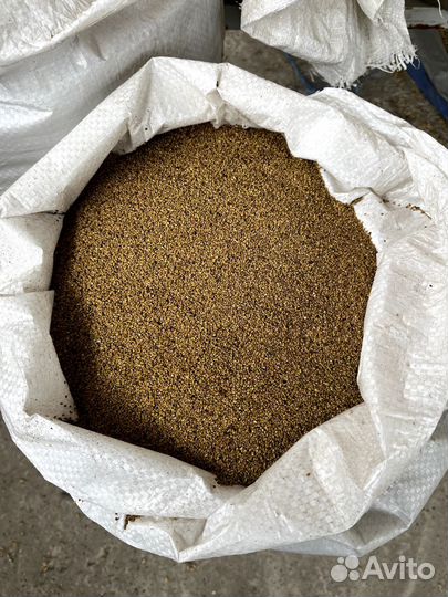 Семена люцерны