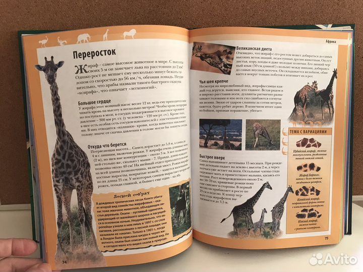 Энциклопедия для детей животные планеты