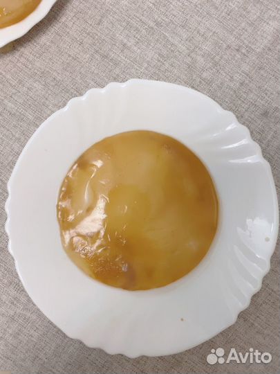 Чайный гриб Комбуча