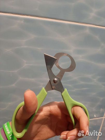 Товары для животных