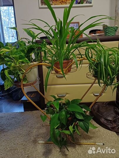 Подставка для цветов напольная