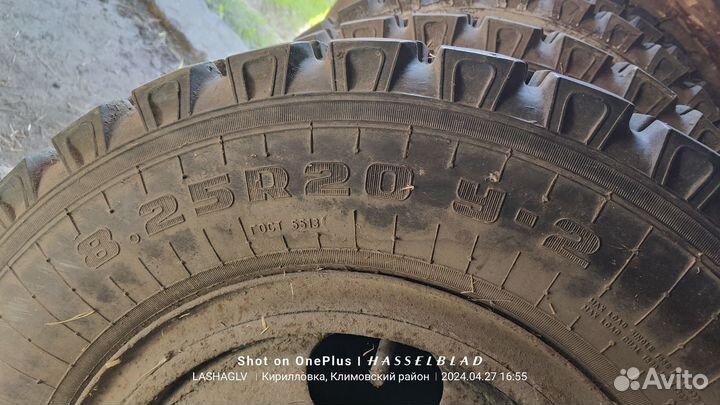 Резина,шины на газ 53